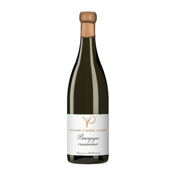 2023 ブルゴーニュ・シャルドネ / ピエール・ヴァンサン