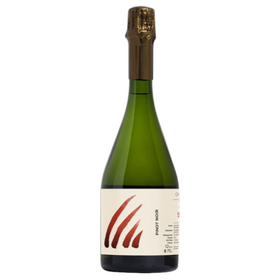 2021 ル・ピニョン / アンス