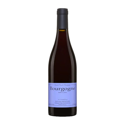 2022 ブルゴーニュ・ルージュ / シルヴァン・パタイユ