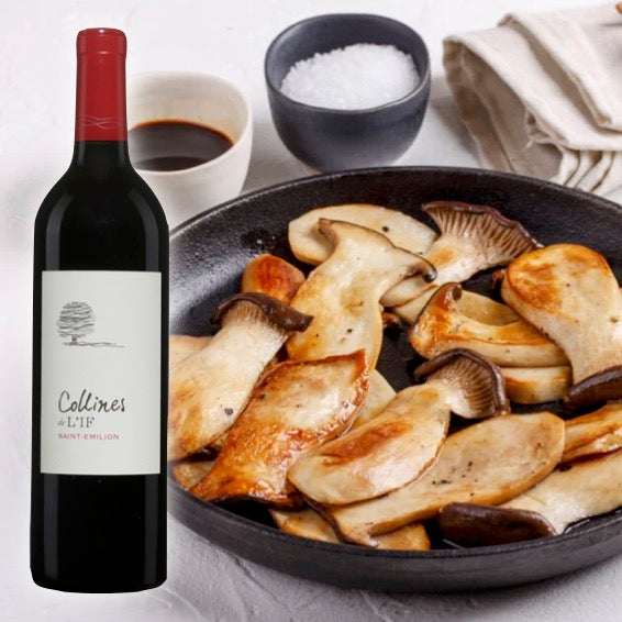 Colline de l if autumn