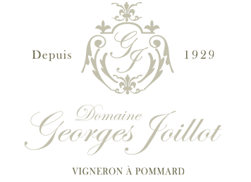 ジョルジュ・ジョワイヨ