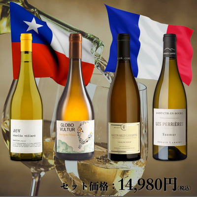 白ワイン飲み比べ4本セット 【仏vsチリ 】
