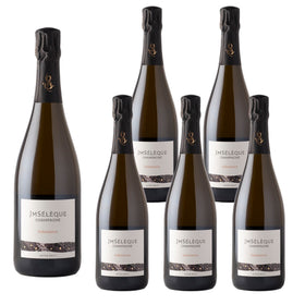 【一本あたり¥8000】NV ソレサンス / ジャン・マルク・セレック ６本入り