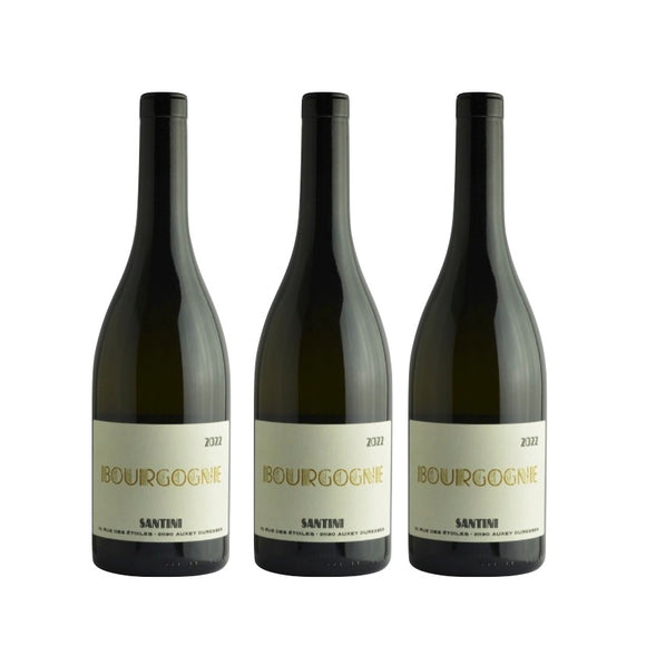 2023 ブルゴーニュ・ブラン / サンティニ お得3本セット