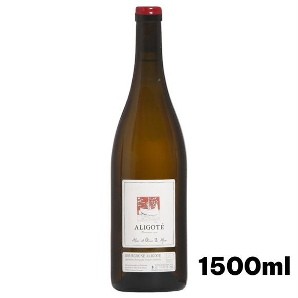 2022 ブルゴーニュ・アリゴテ プランタシオン 1902 / アリス・エ・オリヴィエ・ド・ムール 【1500ml】