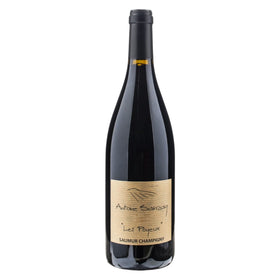 2022 ソミュール・シャンピニー ルージュ レ・ポワイユ / アントワンヌ・サンゼイ